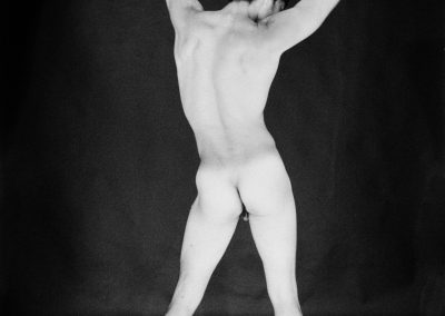 Gallery 40 – Raphael